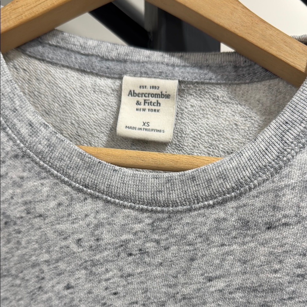 EuC Abercrombie & Fitch Gray Crewneck Sweater - Picture 2 of 4